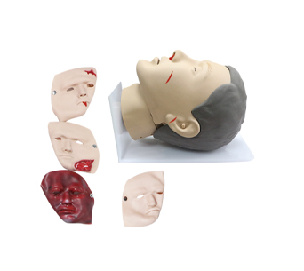 Head debridement and suturing training simulator