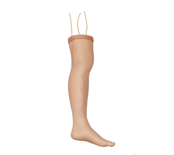 Operation simulator of great saphenous vein