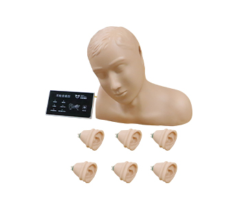 Ear exam simulator