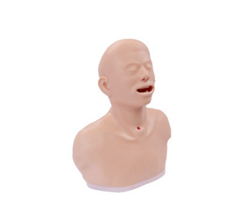 Thyroid examination training simulator