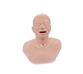 Pharyngeal examination operation simulator