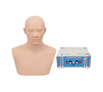Ventricular puncture drainage training simulator