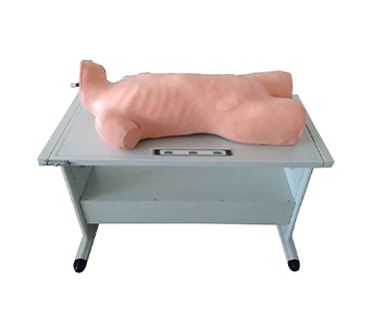 Advanced comprehensive puncture and percussion training simulator