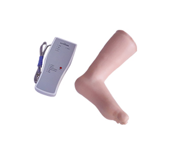 Ankle joint puncture simulator