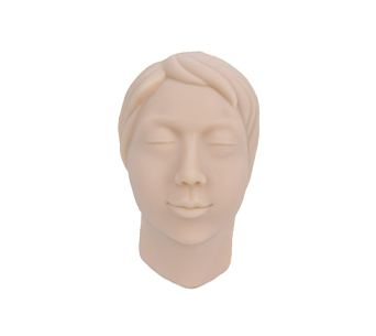 女性头模