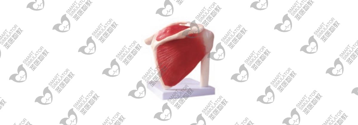 水印透明度29-恢复的.jpg